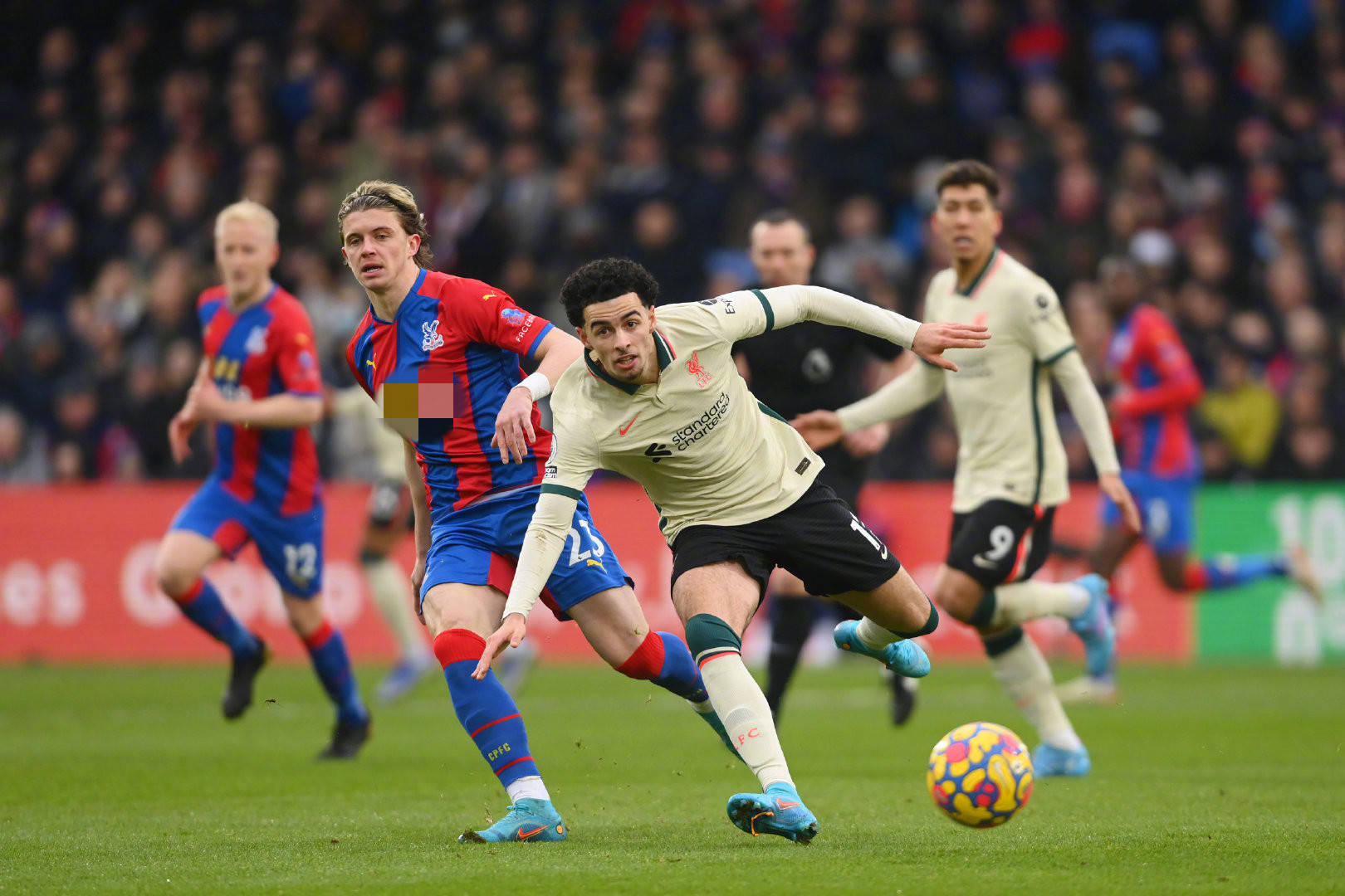 需要承担起 需要承担起